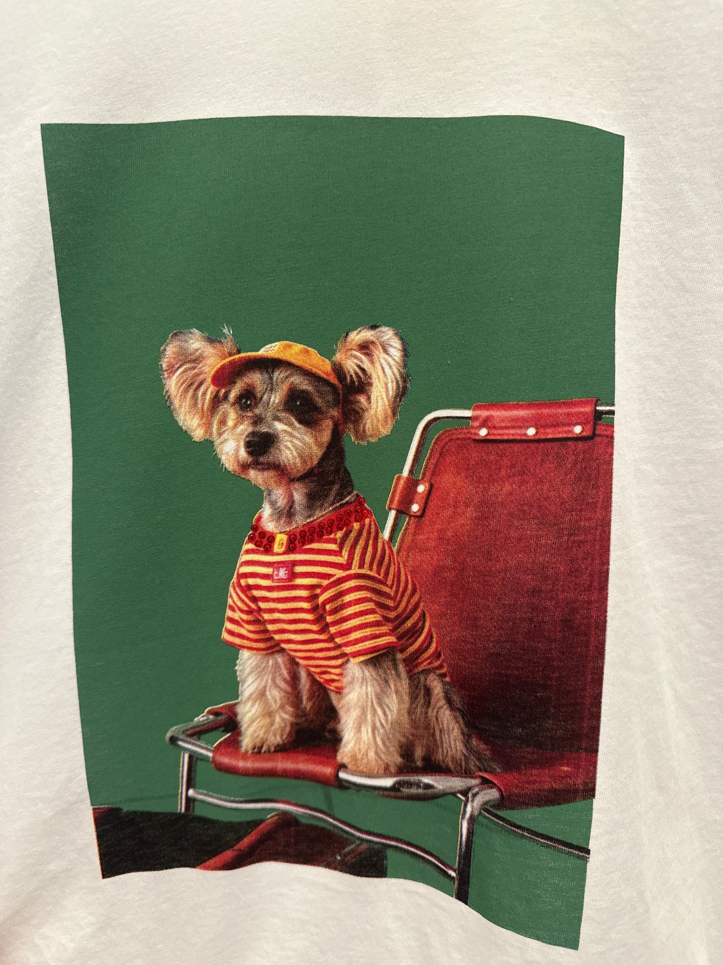 T-Shirt Hund auf Stuhl